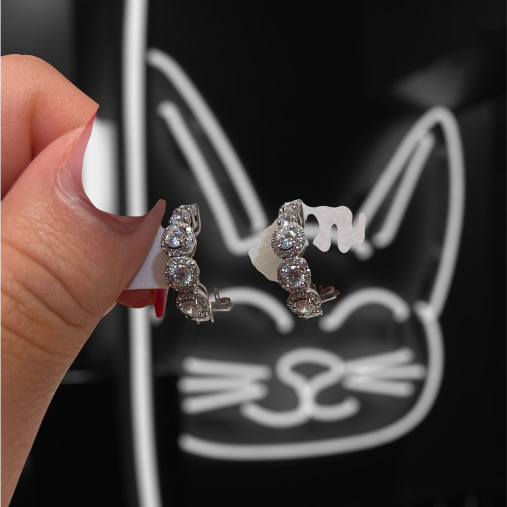Elegant Silver Crystal Hoop Earrings